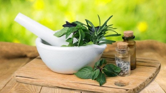 Sử dụng thuốc nam chữa viêm nha chu giúp loại bỏ triệu chứng viêm nhiễm