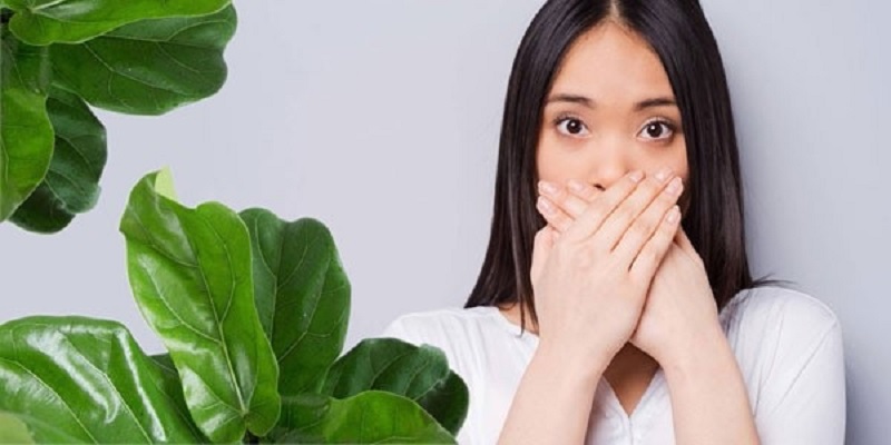 Hơi thở có mùi gây ảnh hưởng lớn tới việc giao tiêp