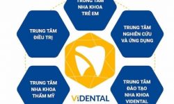 Vidental sở hữu Hệ sinh thái Nha khoa phức hợp đầu tiên tại Việt Nam.