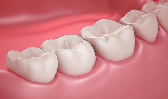 Răng Hàm Nằm Ở Vị Trí Nào? Có Vai Trò Quan Trọng Không?