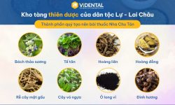 Một số vị thuốc đăch trưng trong bài thuốc Nha Chu Tán