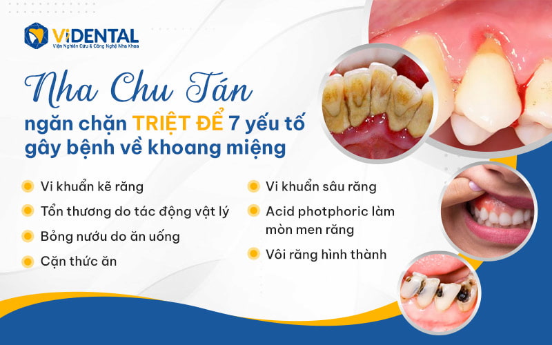 Nha Chu Tán ngăn chặn triệt để các yếu tố gây bệnh trong khoang miệng